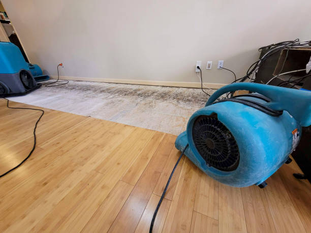 Professional Flood Damage Cleanup technician working in Upper Darby, PA